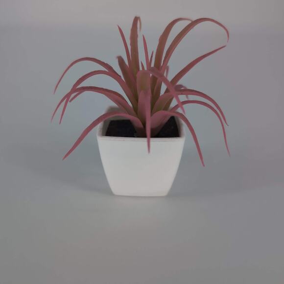 Mini Fake Faux Artificial Pink Succulent Potted Plant in Plastic White Pot - GUC - Picture 5 of 11